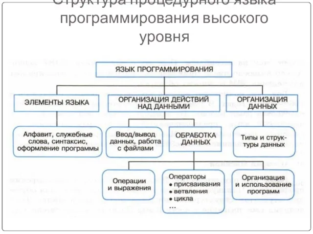 Структура процедурного языка программирования высокого уровня