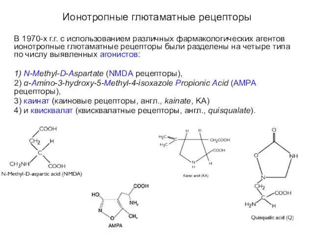 Ионотропные глютаматные рецепторы В 1970-х г.г. с использованием различных фармакологических