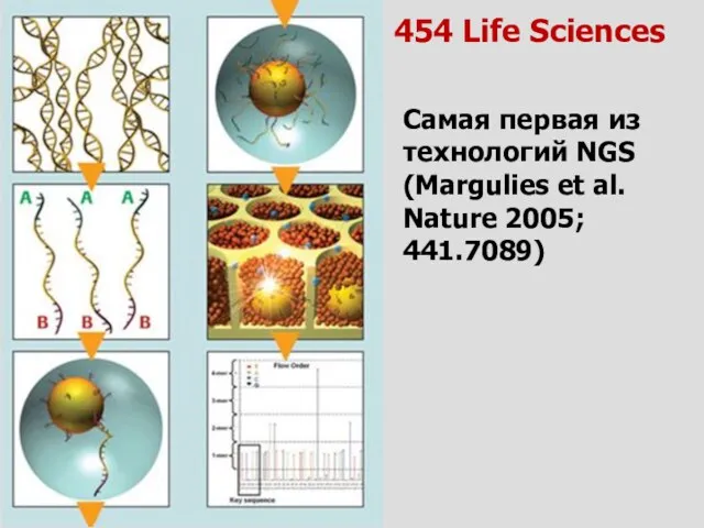 Самая первая из технологий NGS (Margulies et al. Nature 2005; 441.7089) 454 Life Sciences