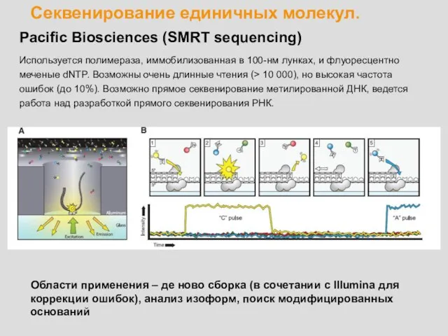 Секвенирование единичных молекул. Pacific Biosciences (SMRT sequencing) Используется полимераза, иммобилизованная