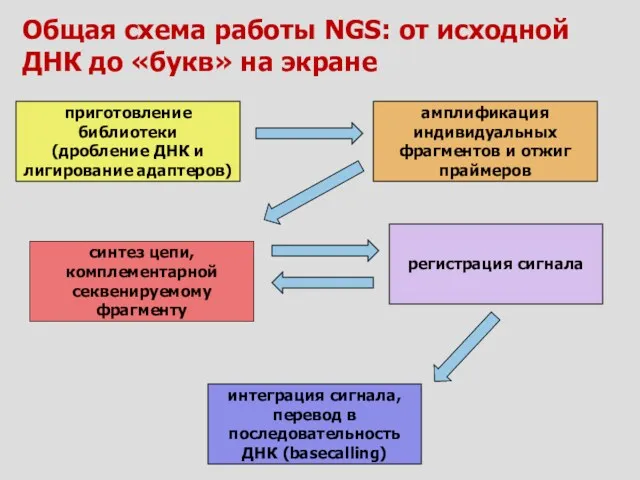 Общая схема работы NGS: от исходной ДНК до «букв» на