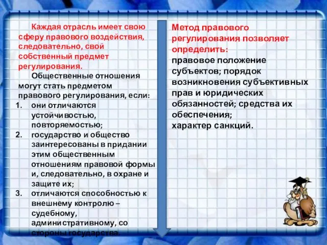 Каждая отрасль имеет свою сферу правового воздействия, следовательно, свой собственный