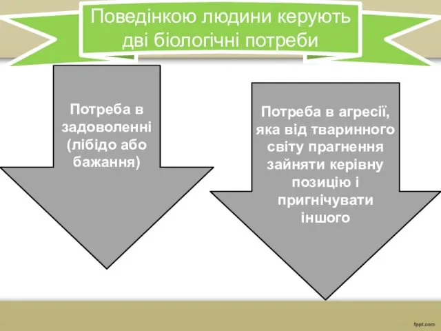 Поведінкою людини керують дві біологічні потреби Потреба в задоволенні (лібідо