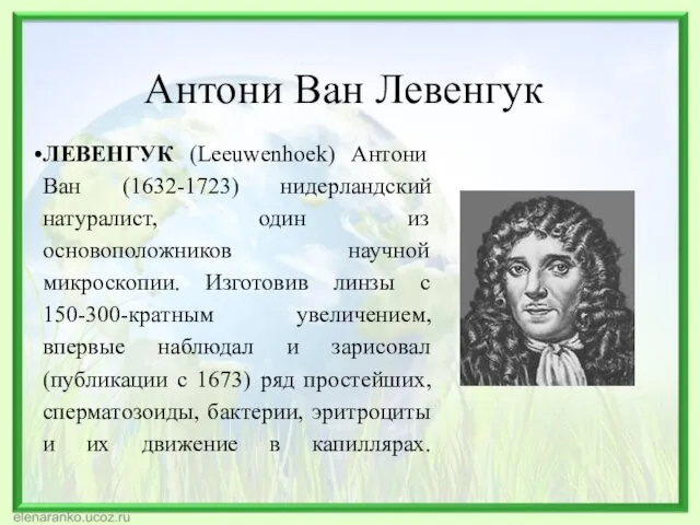 Антони Ван Левенгук ЛЕВЕНГУК (Leeuwenhoek) Антони Ван (1632-1723) нидерландский натуралист,