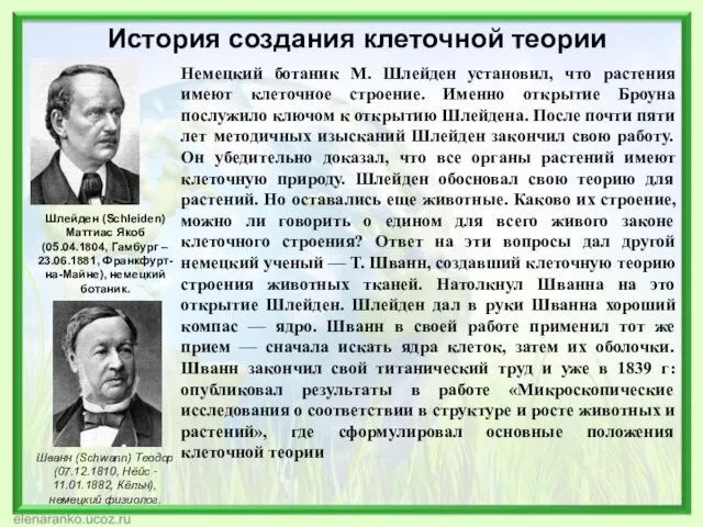 История создания клеточной теории Шлейден (Schleiden) Маттиас Якоб (05.04.1804, Гамбург