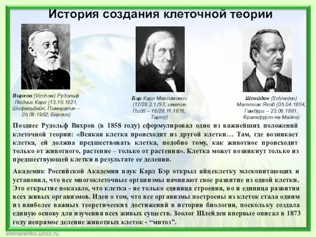 История создания клеточной теории Шлейден (Schleiden) Маттиас Якоб (05.04.1804, Гамбург