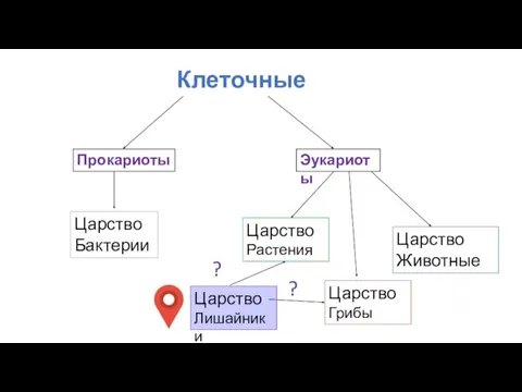 Клеточные Прокариоты Эукариоты Царство Бактерии Царство Растения Царство Грибы Царство Животные Царство Лишайники ? ?