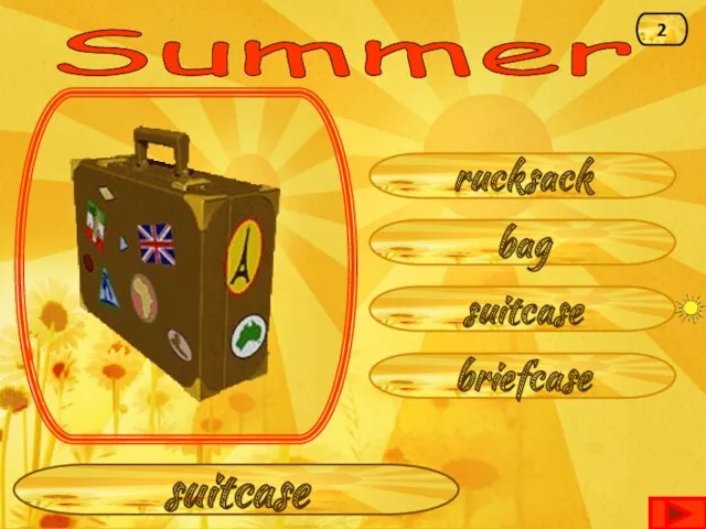 Summer suitcase bag rucksack briefcase suitcase 2