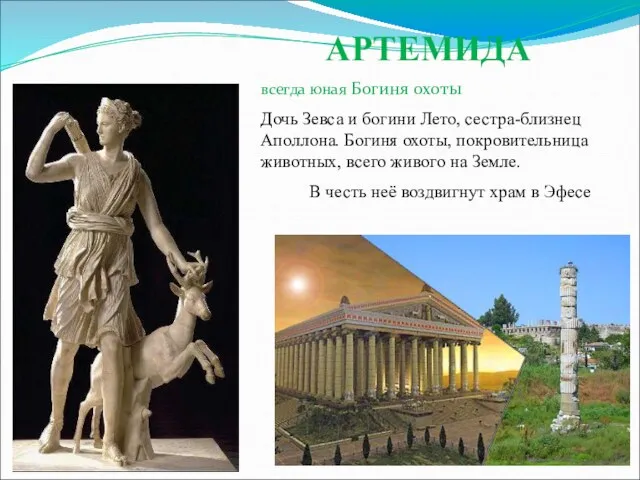 АРТЕМИДА всегда юная Богиня охоты Дочь Зевса и богини Лето,