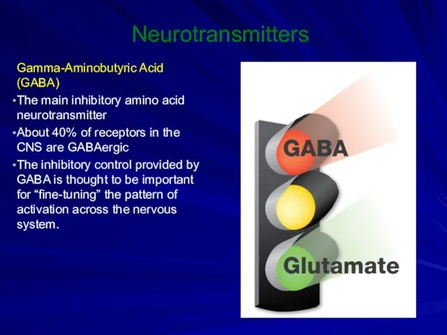 Neurotransmitters Gamma-Aminobutyric Acid (GABA) The main inhibitory amino acid neurotransmitter