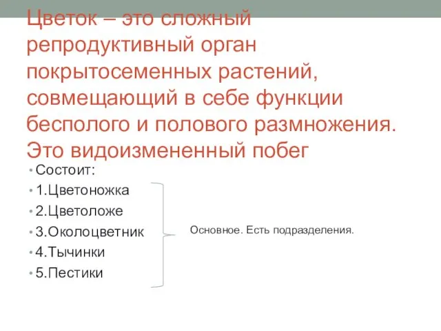 Цветок – это сложный репродуктивный орган покрытосеменных растений, совмещающий в