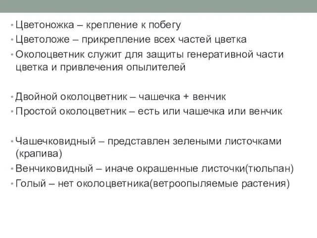 Цветоножка – крепление к побегу Цветоложе – прикрепление всех частей