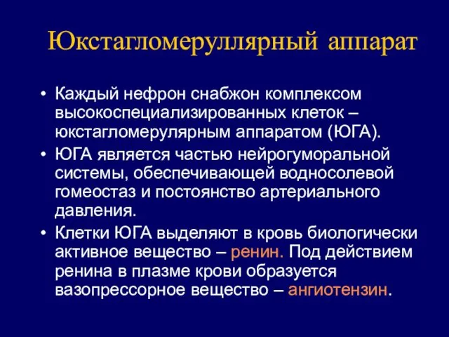 Юкстагломеруллярный аппарат Каждый нефрон снабжон комплексом высокоспециализированных клеток – юкстагломерулярным