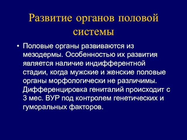 Развитие органов половой системы Половые органы развиваются из мезодермы. Особенностью