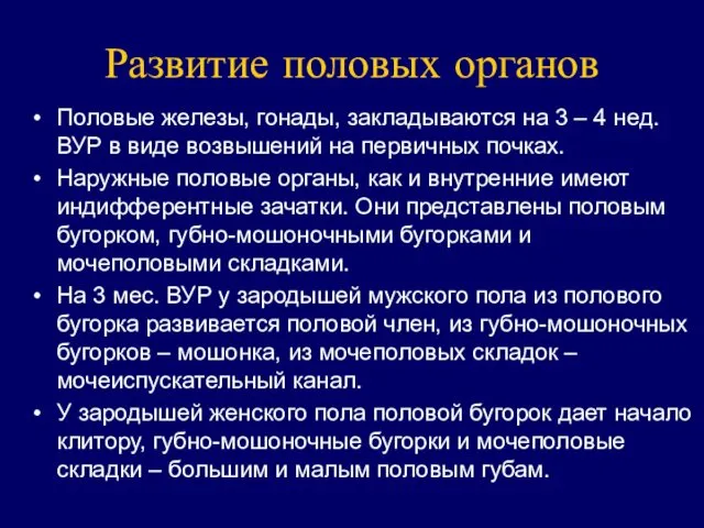 Развитие половых органов Половые железы, гонады, закладываются на 3 –