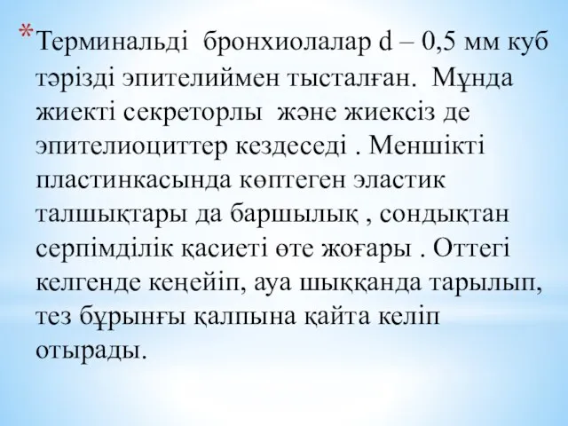 Терминальді бронхиолалар d – 0,5 мм куб тәрізді эпителиймен тысталған.