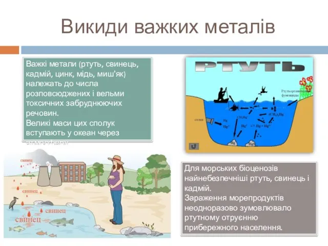 Важкі метали (ртуть, свинець, кадмій, цинк, мідь, миш'як) належать до