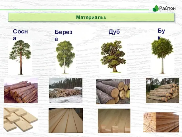 Материалы: Сосна Береза Дуб Бук