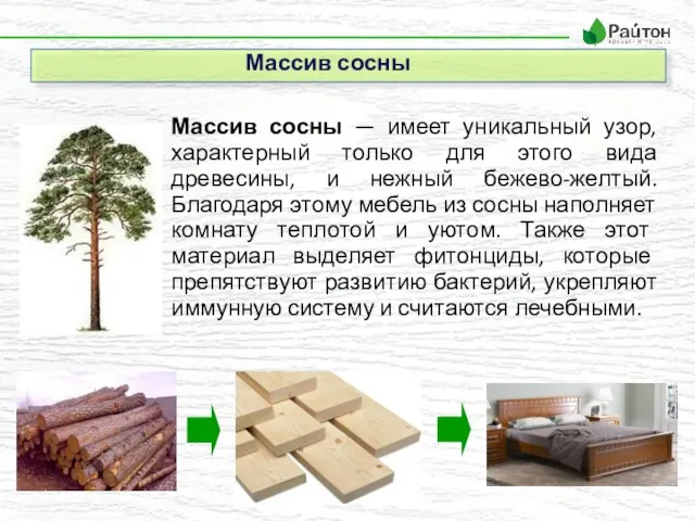 Массив сосны Массив сосны — имеет уникальный узор, характерный только