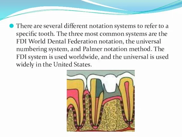 There are several different notation systems to refer to a