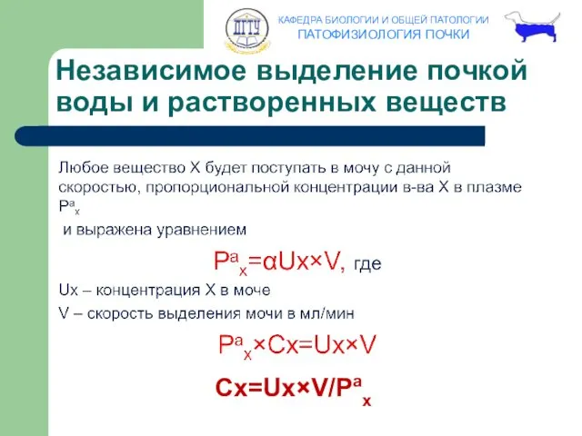 Независимое выделение почкой воды и растворенных веществ Cx=Ux×V/Pax