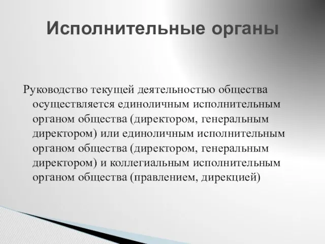 Руководство текущей деятельностью общества осуществляется единоличным исполнительным органом общества (директором,