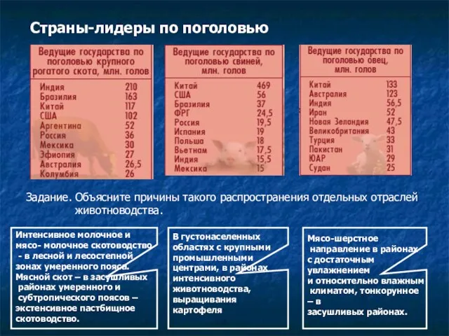 Страны-лидеры по поголовью Задание. Объясните причины такого распространения отдельных отраслей