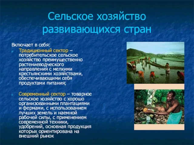 Сельское хозяйство развивающихся стран Включает в себя: Традиционный сектор –