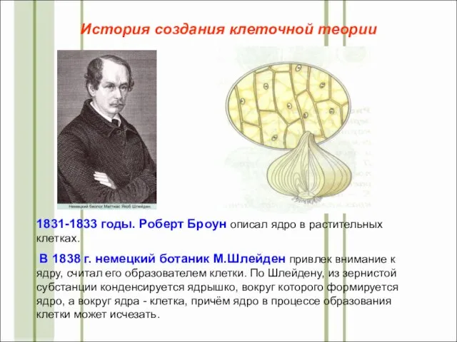 1831-1833 годы. Роберт Броун описал ядро в растительных клетках. В