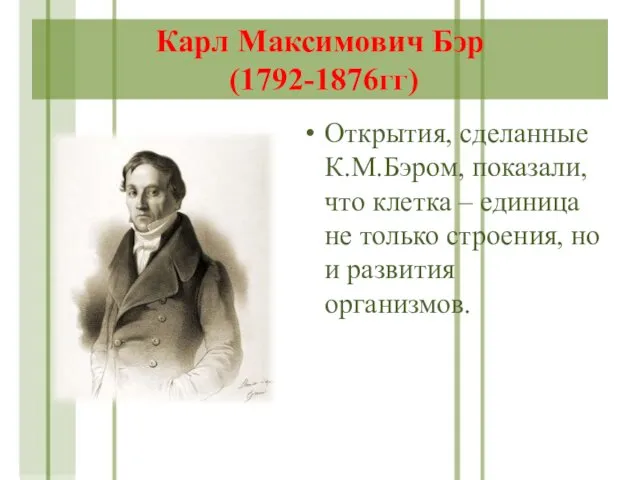 Карл Максимович Бэр (1792-1876гг) Открытия, сделанные К.М.Бэром, показали, что клетка