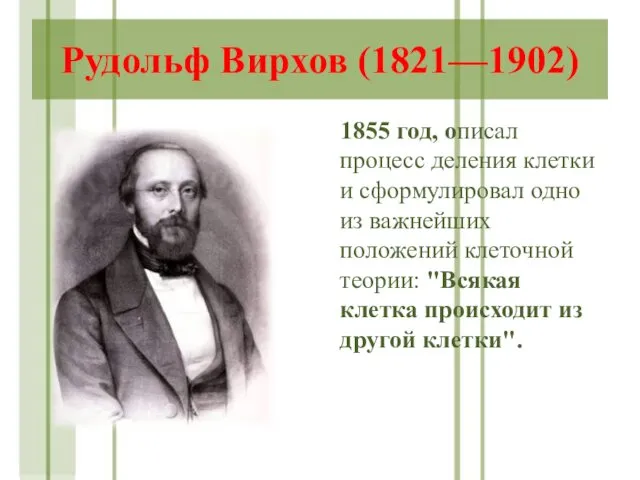 Рудольф Вирхов (1821—1902) 1855 год, описал процесс деления клетки и
