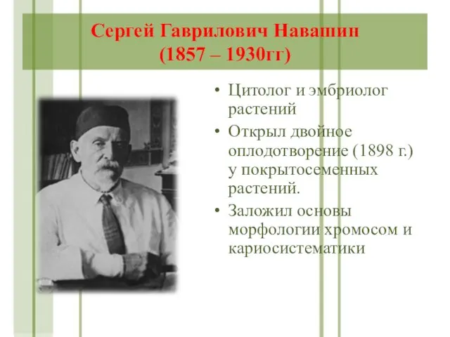 Сергей Гаврилович Навашин (1857 – 1930гг) Цитолог и эмбриолог растений