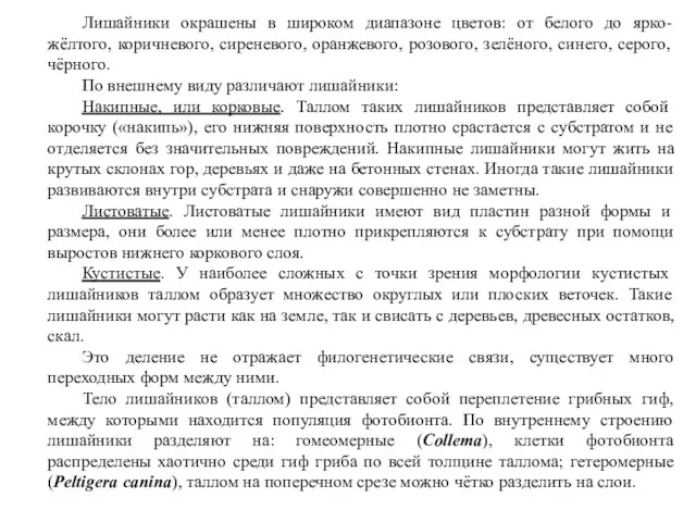 Лишайники окрашены в широком диапазоне цветов: от белого до ярко-жёлтого,