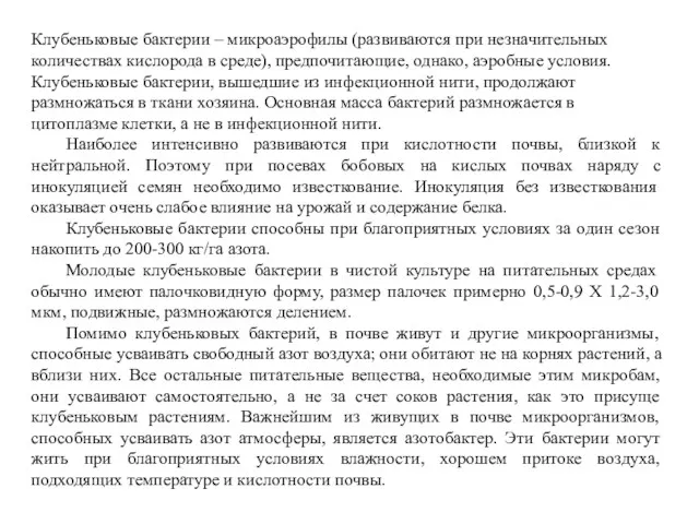 Клубеньковые бактерии – микроаэрофилы (развиваются при незначительных количествах кислорода в