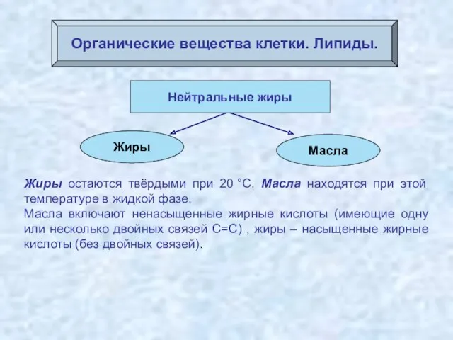 Органические вещества клетки. Липиды. Жиры остаются твёрдыми при 20 °С.