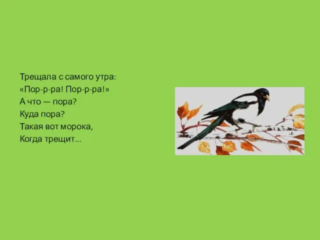 Трещала с самого утра: «Пор-р-ра! Пор-р-ра!» А что — пора?