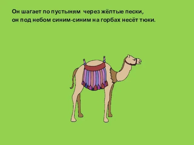 Он шагает по пустыням через жёлтые пески, он под небом синим-синим на горбах несёт тюки.