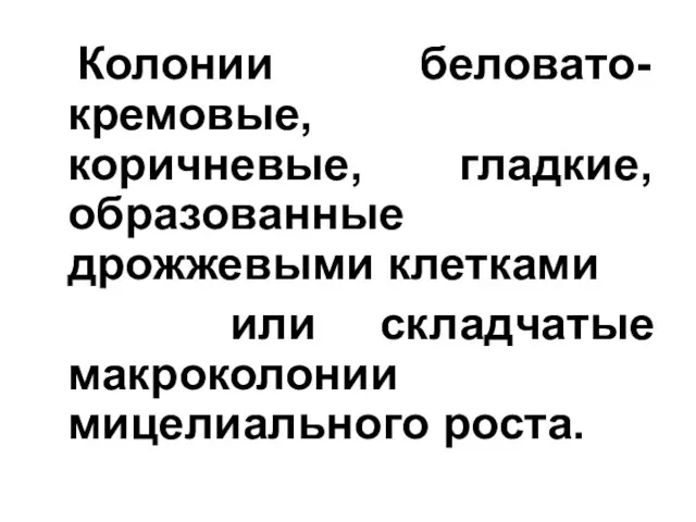 Колонии беловато-кремовые, коричневые, гладкие, образованные дрожжевыми клетками или складчатые макроколонии мицелиального роста.