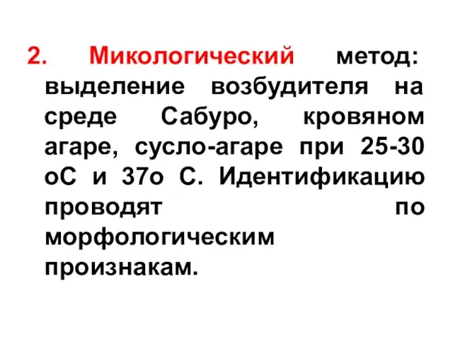 2. Микологический метод: выделение возбудителя на среде Сабуро, кровяном агаре,