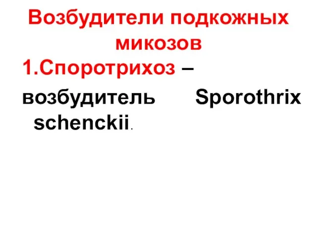 Возбудители подкожных микозов 1.Споротрихоз – возбудитель Sporothrix schenckii.