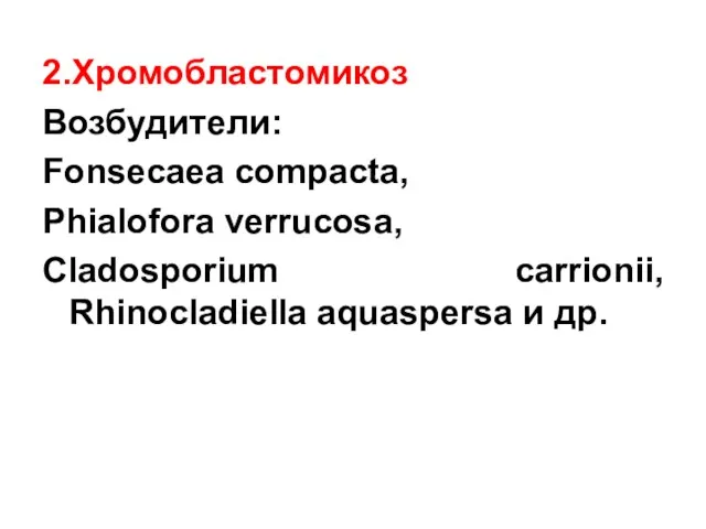 2.Хромобластомикоз Возбудители: Fonsecaea compacta, Phialofora verrucosa, Cladosporium carrionii, Rhinocladiella aquaspersa и др.