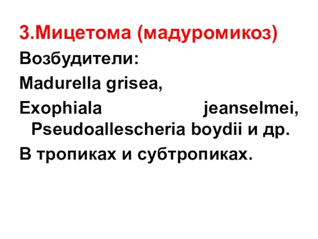 3.Мицетома (мадуромикоз) Возбудители: Madurella grisea, Exophiala jeanselmei, Pseudoallescheria boydii и др. В тропиках и субтропиках.