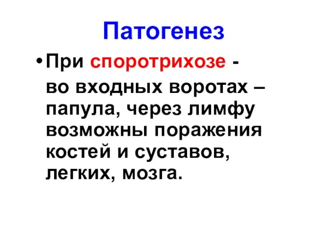 Патогенез При споротрихозе - во входных воротах –папула, через лимфу