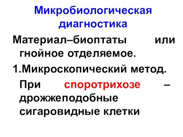 Микробиологическая диагностика Материал–биоптаты или гнойное отделяемое. 1.Микроскопический метод. При споротрихозе – дрожжеподобные сигаровидные клетки