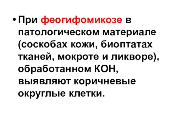 При феогифомикозе в патологическом материале (соскобах кожи, биоптатах тканей, мокроте