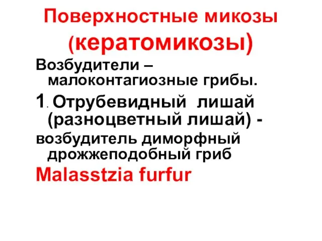 Поверхностные микозы (кератомикозы) Возбудители – малоконтагиозные грибы. 1. Отрубевидный лишай