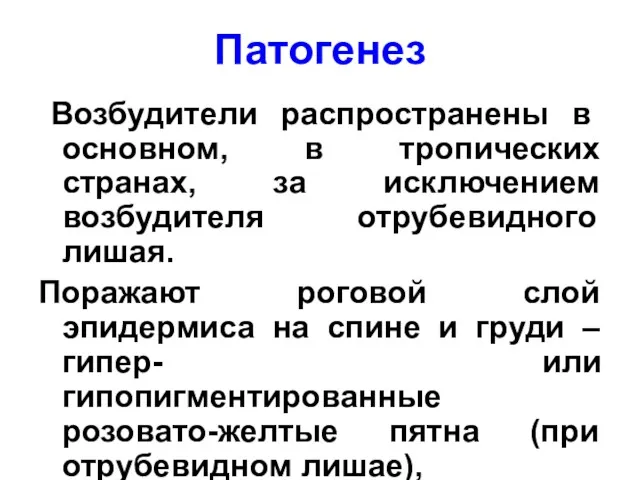 Патогенез Возбудители распространены в основном, в тропических странах, за исключением