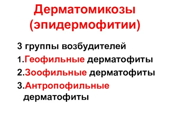 Дерматомикозы (эпидермофитии) 3 группы возбудителей 1.Геофильные дерматофиты 2.Зоофильные дерматофиты 3.Антропофильные дерматофиты