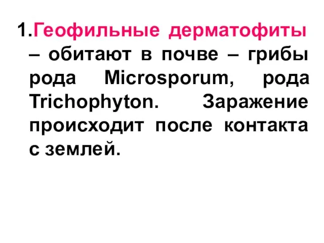 1.Геофильные дерматофиты – обитают в почве – грибы рода Microsporum,