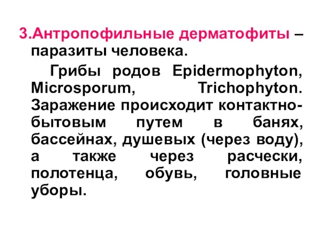 3.Антропофильные дерматофиты – паразиты человека. Грибы родов Epidermophyton, Microsporum, Trichophyton.